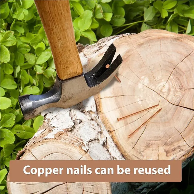 Fine Workmanship 50Pcs Copper Nails For Tree Stumps 3.14 Inches Long Pure Copper Nails Bulk With Drill Bit To Remove Stump