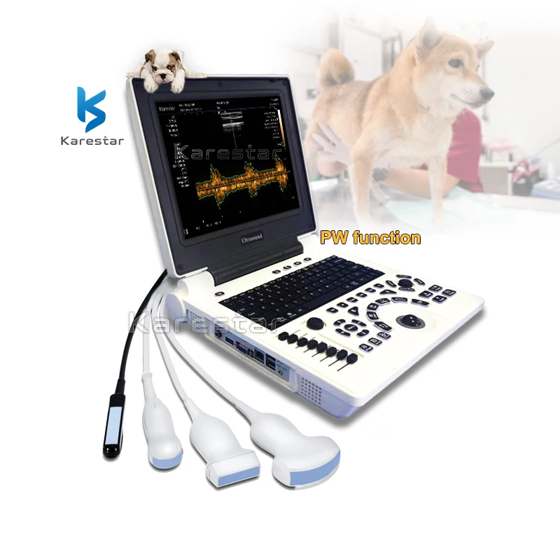 Cheap Price PW Veterinary Clinic Diagnostic Ultrasound System Notebook 3D Ultrasonido Vet Ultrasound Price