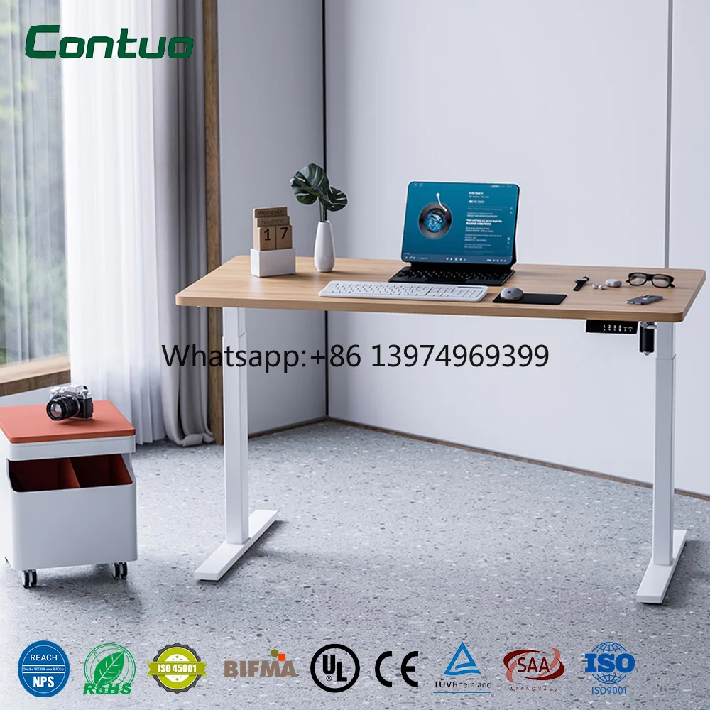 Modern Minimalist Luxury Single Motor Electric Stainless Steel Stand-Up Desk Adjustable Height Home Office Furniture Sit-Stand