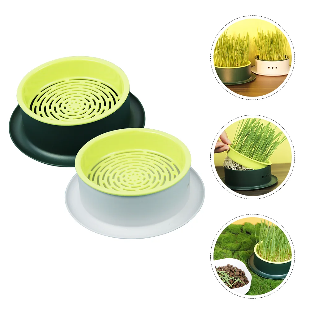 2 Pcs Cat Grass Soilless Hydroponic Set Catnip Growing Kit Plastic Cup