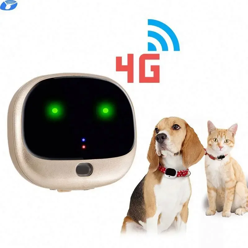 3G Gps Sim Chip 4G Tracker 12V Pet Waterproof Dog Tracking Collar Lte America Avec Carte Tractive Shock Tracer Card Health