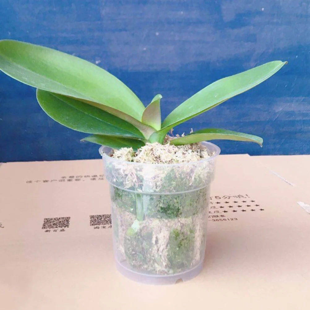 

10Pcs Practical Orchid Pots Breathable Transparent Design for Indoor Outdoor Flower Pots Plant Pot Plants Flower Pot