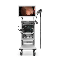 26 Inch Full HD Monitor 4-LED Light Source Sonoscape Endoscope Sonoscape HD550 Gastroscopio system