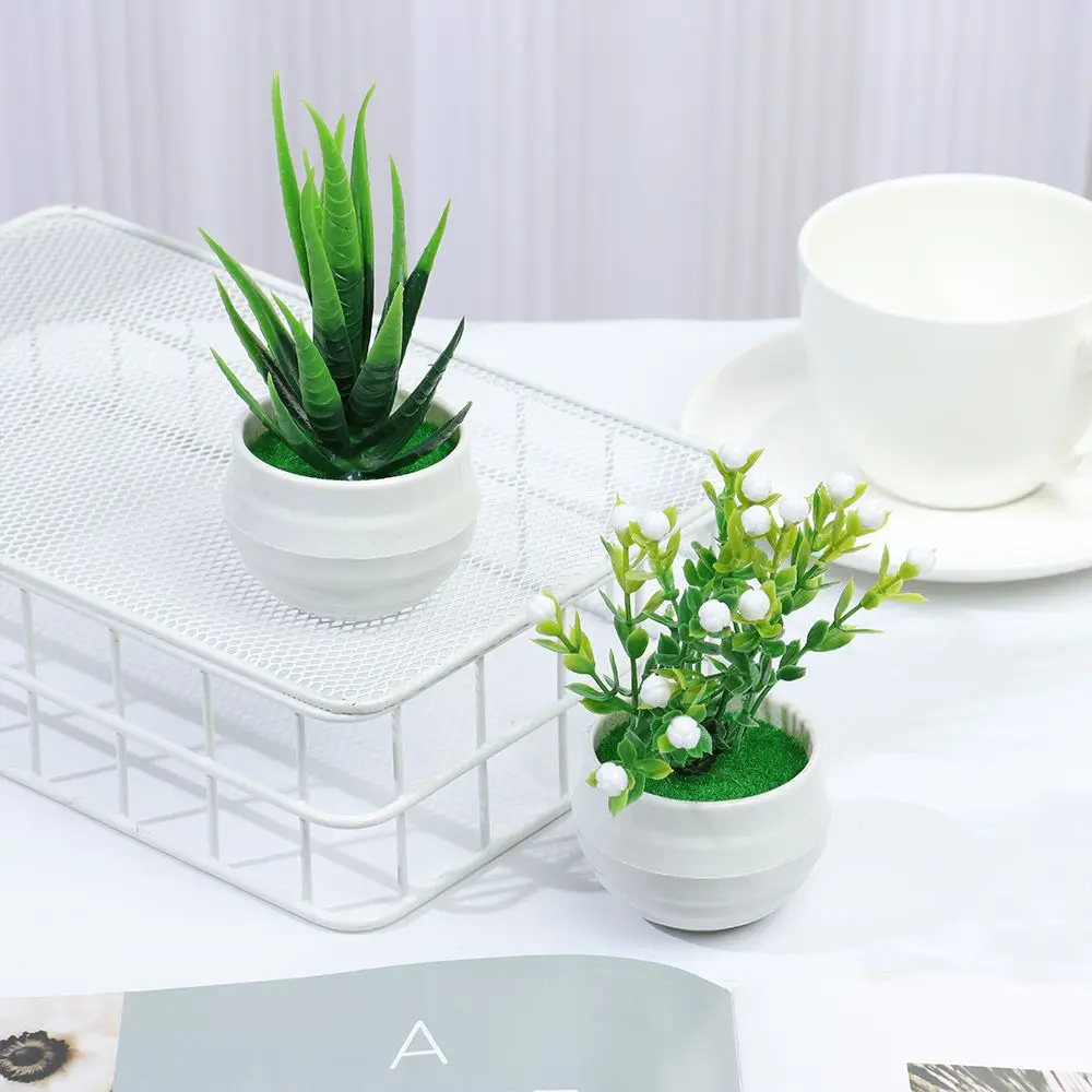 Mini Green Plant Su…