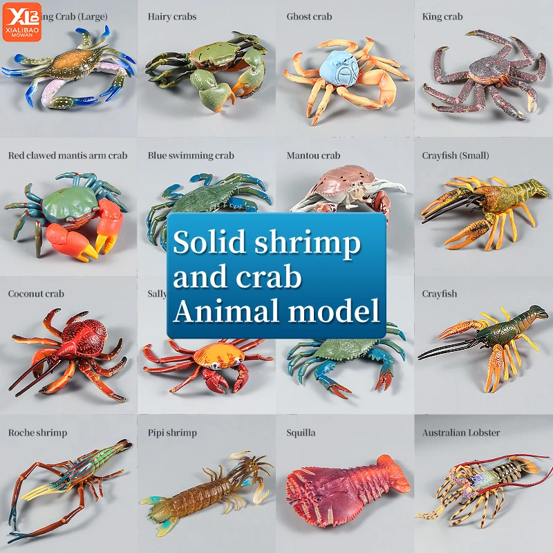 Zabawka symulacyjna dla dzieci - zwierzęta morskie - krab, homar, modele życia morskiego, figurki kolekcjonerskie, zabawka edukacyjna