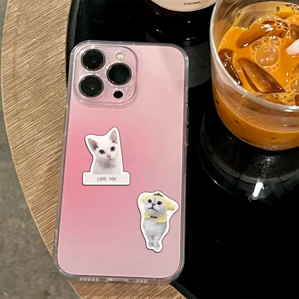 냉장고 수하물 컴퓨터 스케이트보드에 적용 가능한 크리에이티브 반려동물 커피 스티커, 8 크로스 보더 휴일