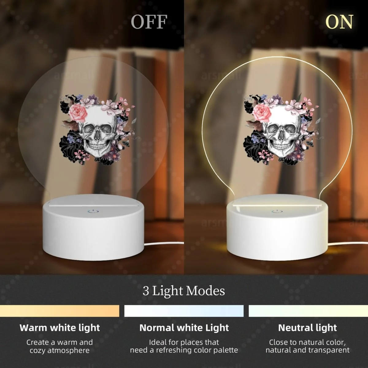 خمر الجرونج القوطية الجمجمة الورود الاكريليك صور مصباح صور LED ضوء الليل ، إطار الصورة ، هدية للزوجين ، هدية الذكرى السنوية #3