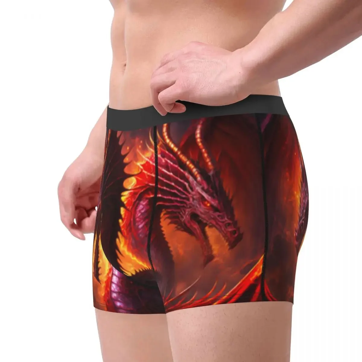 Men's Underwear Underpants Mystical Dragons With Wings Men Boxer Shorts Elastic Male Panties