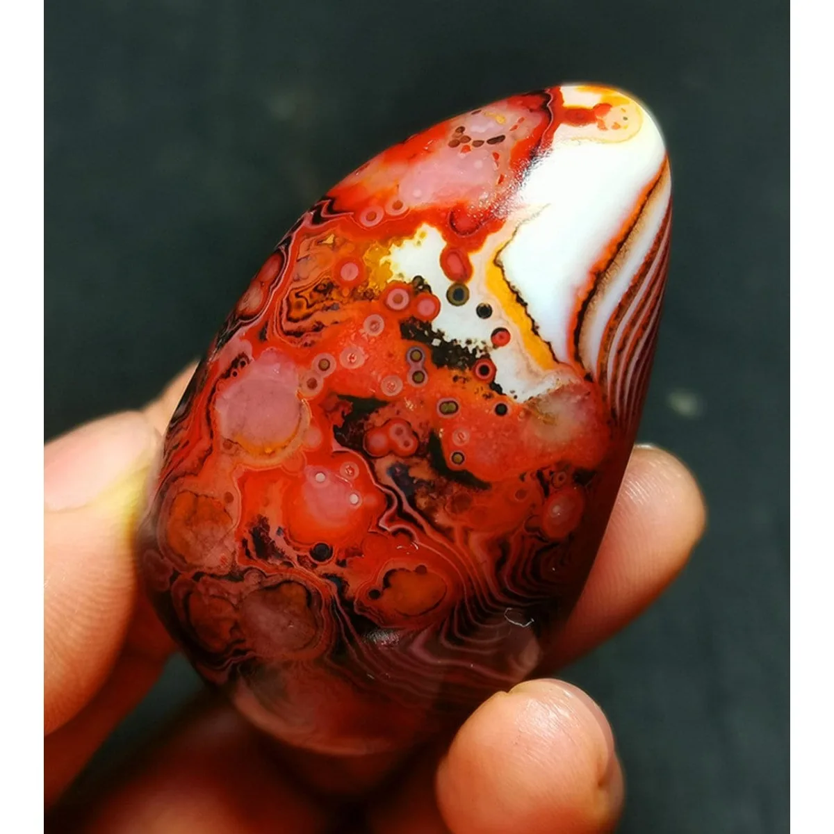 4PC Natural Banded Agate Nature Made, Polished Tumbled, Display Stone, Vase Filler, Crystal Collection, Table Display