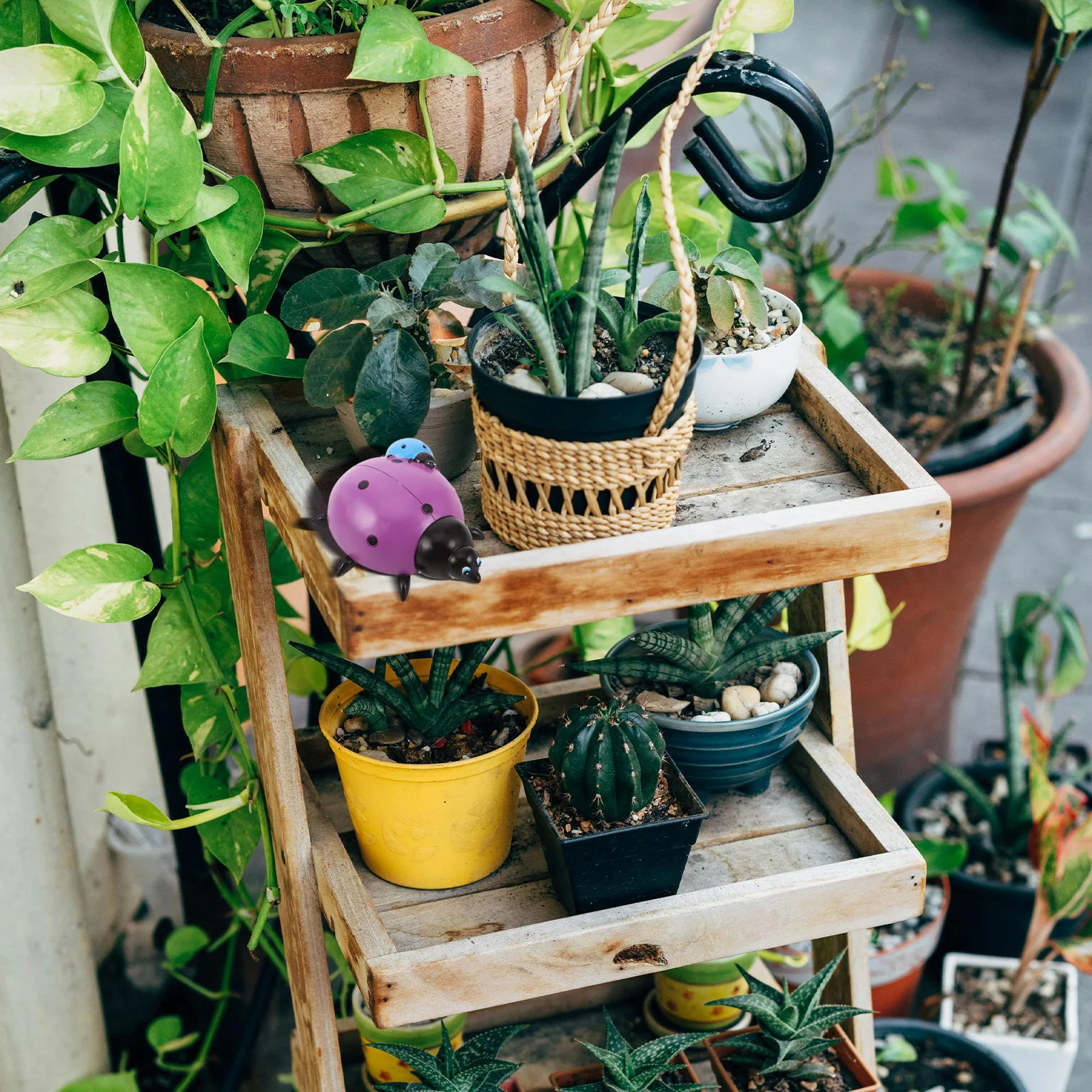 إخفاء مفتاح في الهواء الطلق مانعة لتسرب الماء الراتنج الخنفساء تمثال حديقة الزخرفية مفتاح إخفاء صندوق تخزين آمن ساحة حامل الخنفساء ديكور المنزل