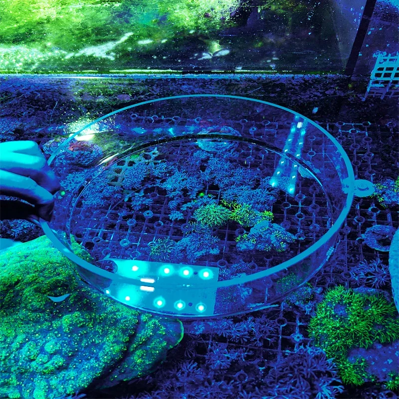 Aquarium Sea Tank Acrylic Coral Observation Mirror Seawater Fish Tank Underwater Photo Coral Anti-Interference Enlargement Glass
