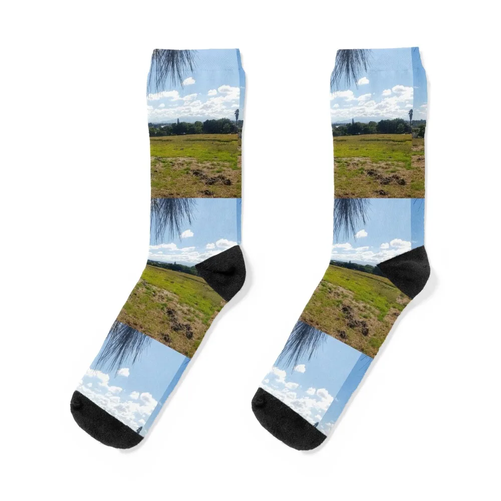 

Guinea fowl running in an open field Socks sport retro sports and leisure japanese fashion Socks For Women Men's