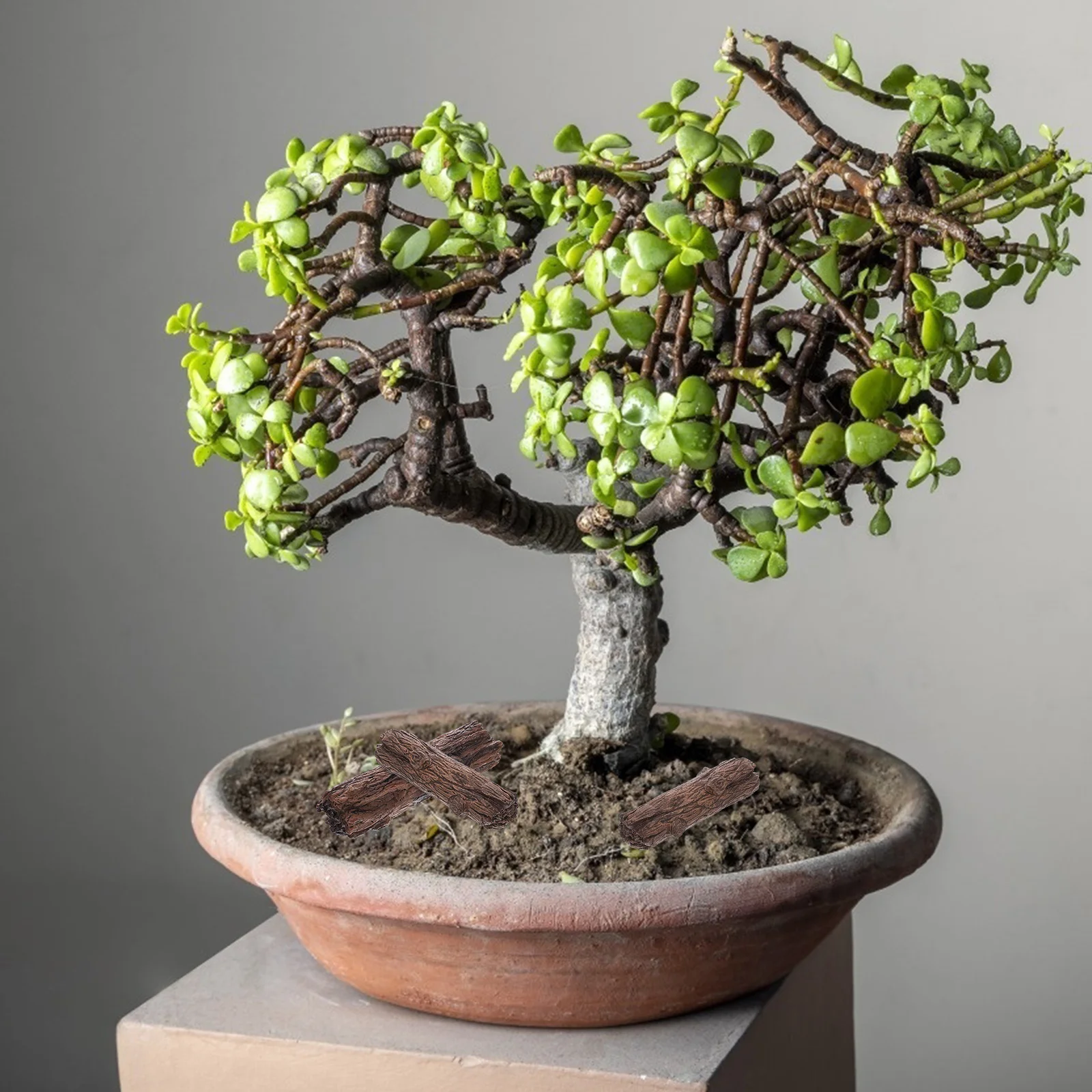 NOLITOY 3 قطعة جذع شجرة الراتنج الحلي الخشب سجل كتل المشهد الصغير ديكور محاكاة الجذع لمكتب خزان الأسماك البلاستيكية الزينة #5