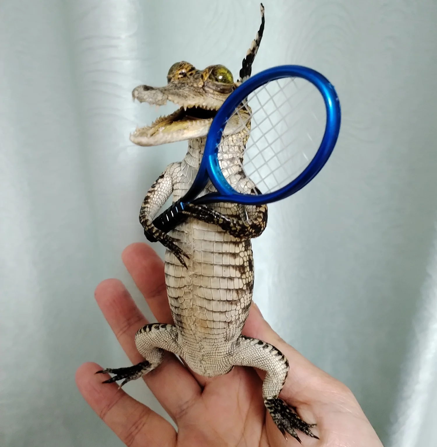 

Animal Figurine Home Decoration Crocodile Reptile Specimen For Collection Science Education Special Gifts