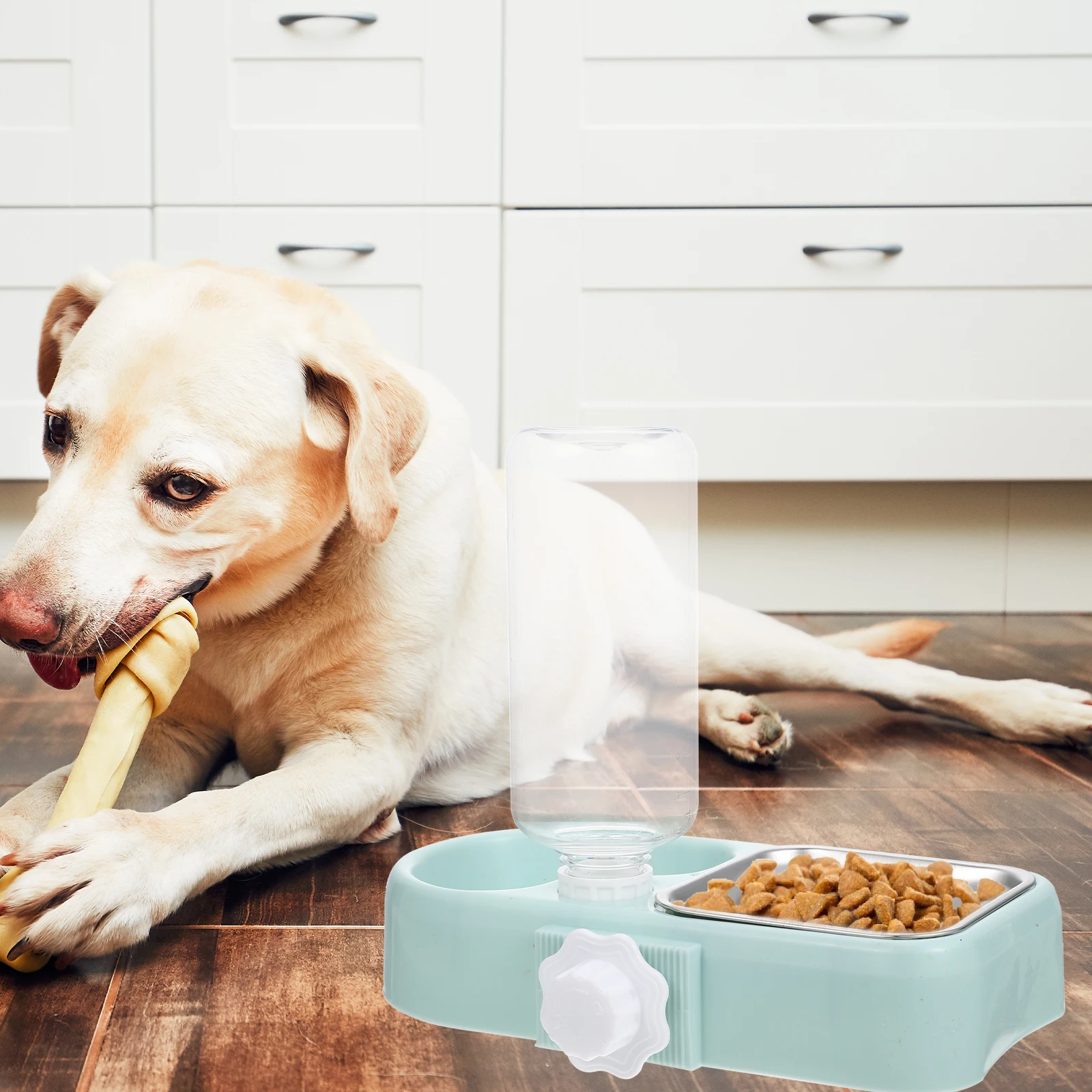 

Automatic Pet Water Feeder 2PCS Dog Bowl Cat Bowls Hanging Design Detachable Easy Resistant Safe Cage Feeder for Dogs