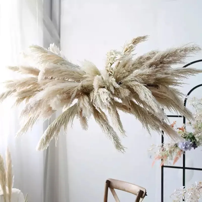 Fully Large Pampas Grass Flowers Halloween Decoration Home Fall Decor Autumn Fleurs Sechees Naturelles Accessories Free Shipping