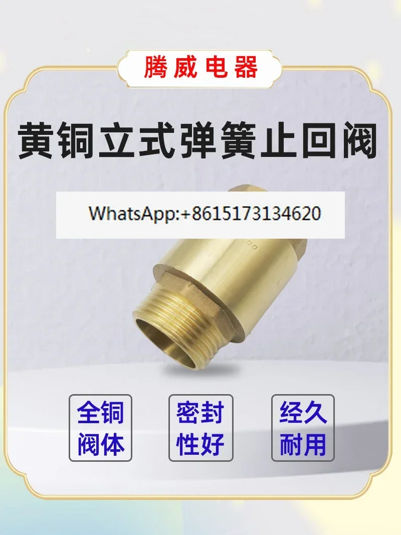 One-way check valve 1 inch copper valve Automatic brass Thickened vertical spring valve External internal wire thread