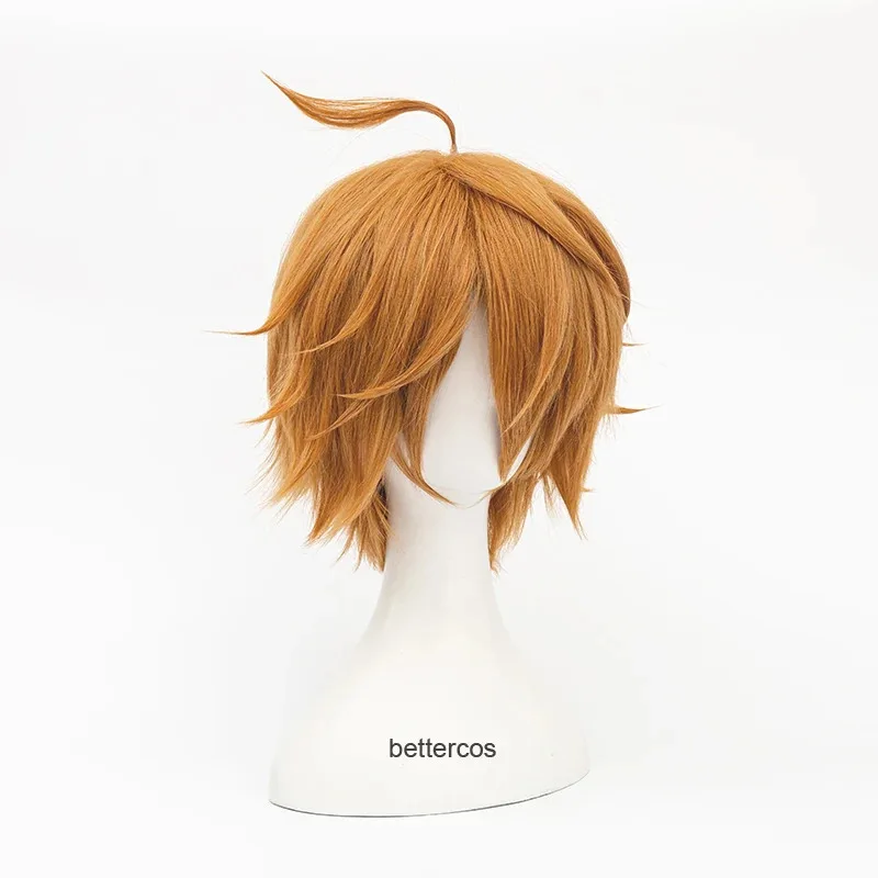 

Tartaglia 30cm Short Christmas Brown Cosplay Anime Heat Resistant Synthetic Wigs + Free Wig Cap