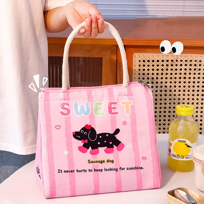 Lunch Bag For Picnic Portable Large Capacity Lunch Bag Collapsible Thermal Breakfast Organizer Portable Insulated Storage Bag