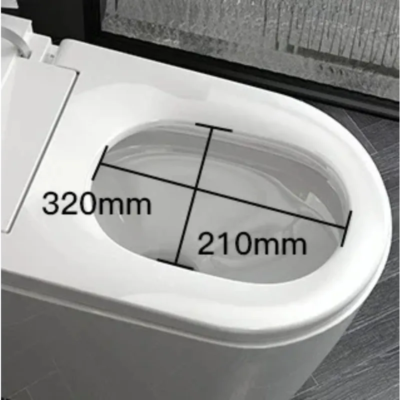 

Modern Intelligent Toilet with Automatic Flush Remote Control Floor Mounted Bidet S-Trap Drainage And Advanced Seat Heating