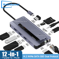 12 in 1 Type-C HUB M.2 NVMe SATA SSD Enclosure Docking Station SD TF Card PD 100W with HDMI 4K60Hz 1000M Ethernet For PC Macbook