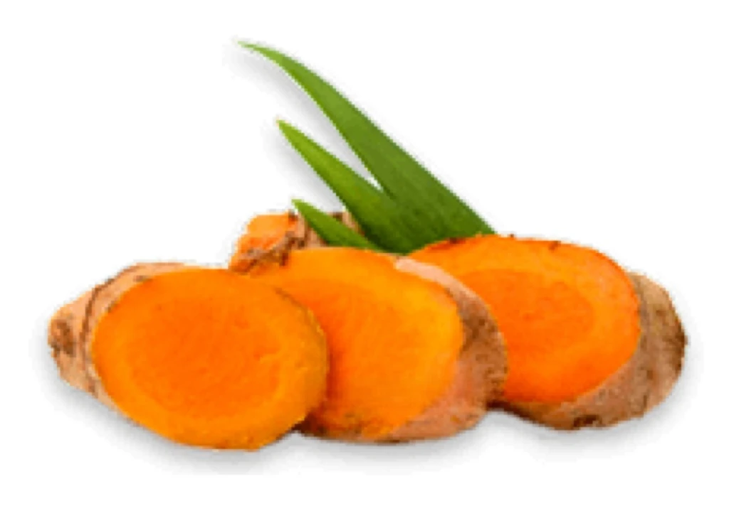 Neem Turmeric Tablets: Antioxidant, Anti-acne, Improves Skin and Promotes Metabolism