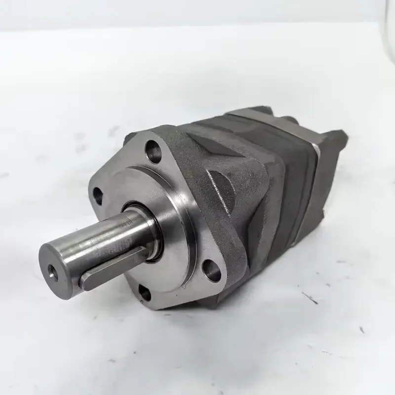 Hydraulic OMS OMSS OMSW OMM OMP OMR OMS OMT OMV Series OMS160 151F0503 High Torque Orbital Motor