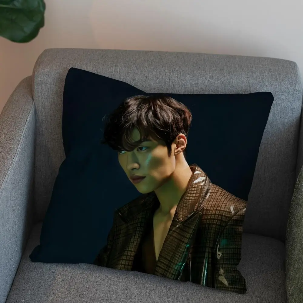 

Наволочка W-Woo Do Hwan для автомобиля, дивана, декоративная, для дома, с двусторонним принтом, плюшевая, квадратная, чехол для подушки