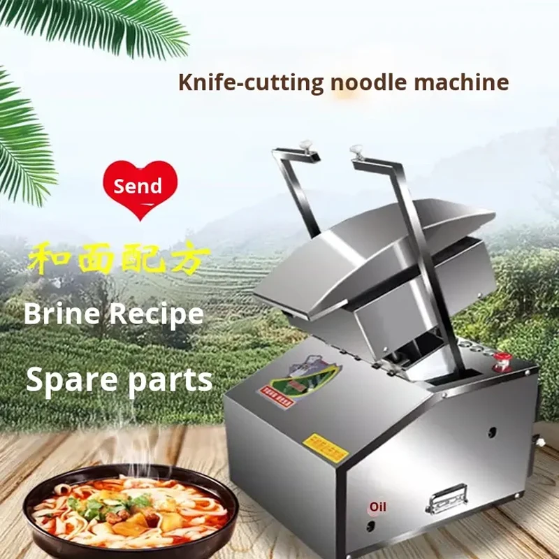 BABEJING 220 فولت/110 فولت ماكينة تشكيل المعكرونة الصينية الأوتوماتيكية المزدوجة Daoxiao متعددة الوظائف