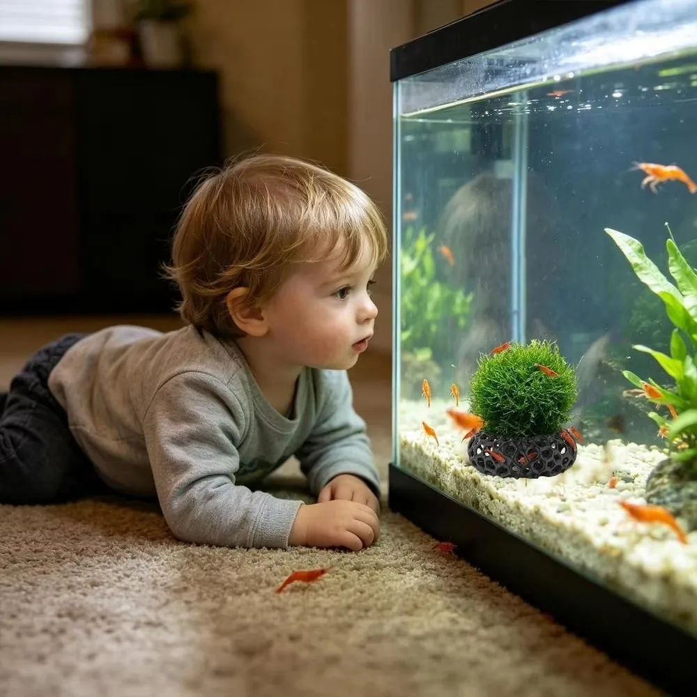 3D Printed Fish Shrimp Hiding Cave Porous Structure Hollow Round Shrimp Shelter Cave Plant Anchoring 3D Prin Fish Tank Cave