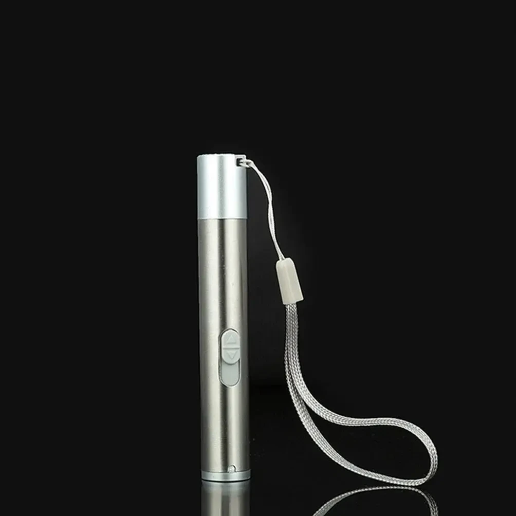 3-in-1 Rechargeable Laser Pointer 2