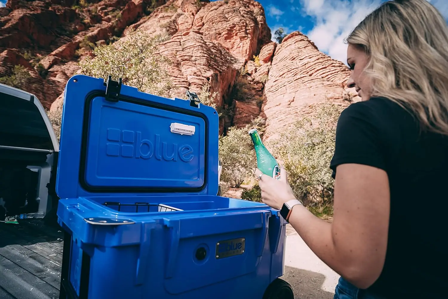 Blue Coolers Ice Vault – 60 Quart Roto-Molded Cooler (Large  Chest Holds up to 10 Days)