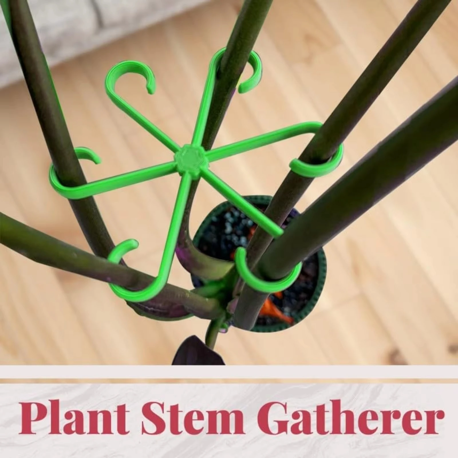 Adjustable Plant Support Stakes Heavy Duty PP Plastic for Climbing Plants Pothos Vine Indoor Hanging Baskets view 4