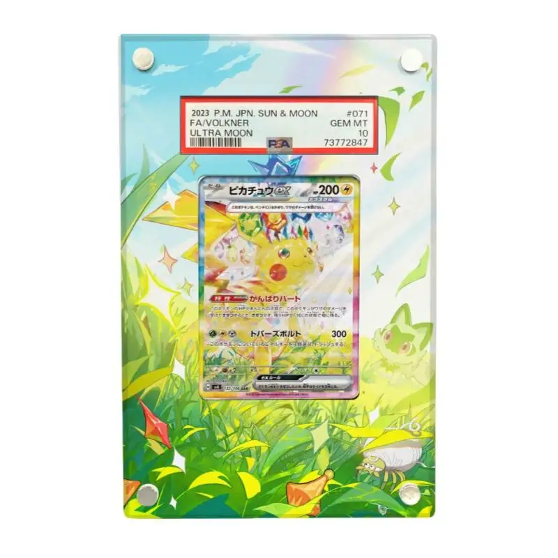 Pokemon Card Brick Qikachu Extended Painting Series PTCG Diy Acryl Actie Toy Figures Anime Game Collection Display Rack