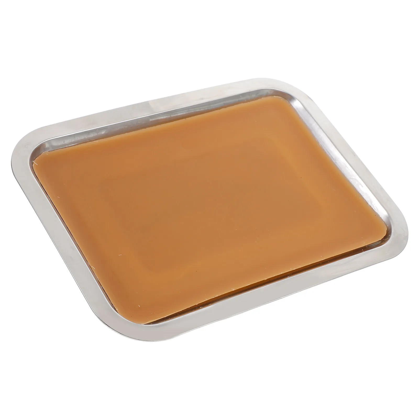 

Laboratory Equipment Wax Dissection Tray 18x25cm Classroom Tool Junior Senior School sample Positioning