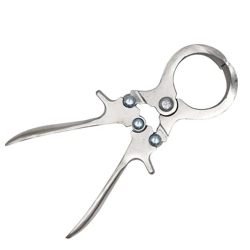 Everbright Store  Pig Sheep Stainless Steel Bloodless Castration Clamp Veterinary Livestock Tool
