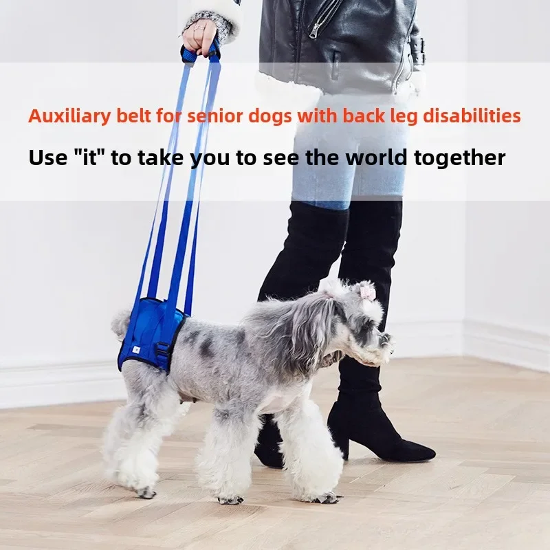 Pet Dog Leg Support Rear Lifting Brace Harness for Old Dogs, Aid Assist Tool Rehab Harness for Dogs with Weak Rear Legs