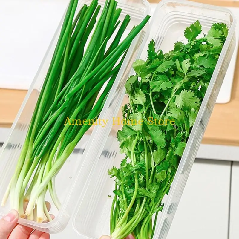 F26C Durable PP Materials Seal Food Storage Container Home Kitchens Organizers For Organizing Scallions Gingers Garlic