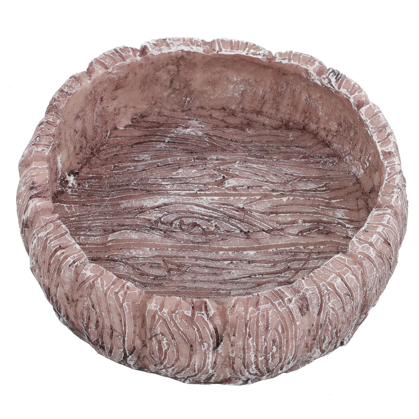 

Resin Reptile Food Water Dish Bowl Decorative Design Durable Safe Easy Feeding Perfect Small Reptiles Reptile Food Dish