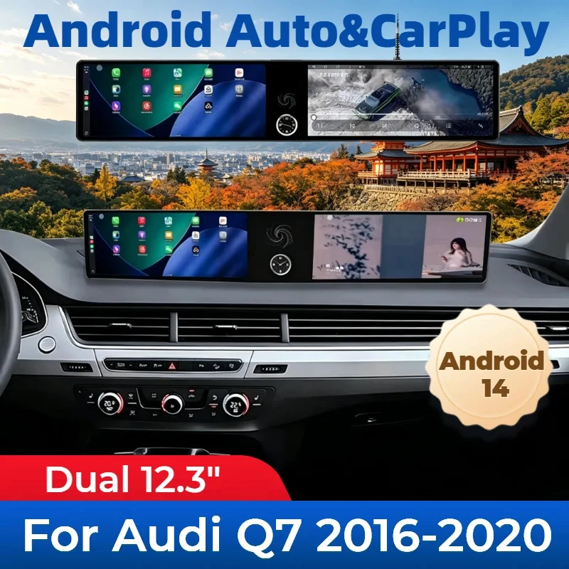Dual 12.3
