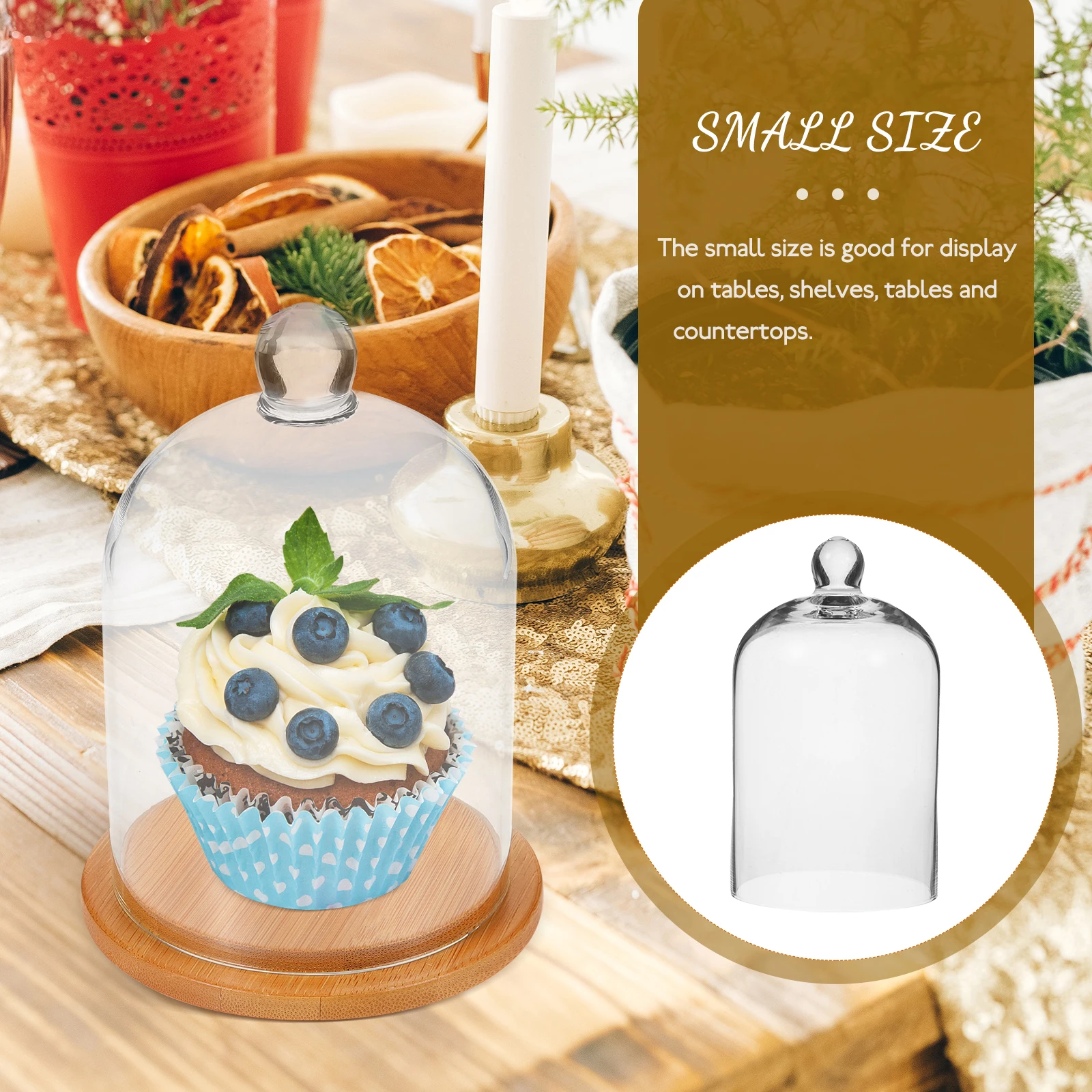 

Transparent Glass Cover Delicate Flower Holder for Eternal Flower Arrangements and Special Occasions Glass Dome