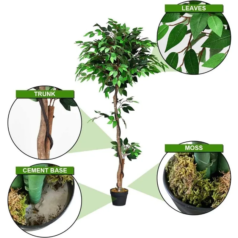 شجرة صناعية بطول 5 أقدام، شجرة صناعية، نباتات خضراء واقعية، أشجار مزخرفة بأوراق خضراء داكنة، فكيوس أخضر مزيف #2