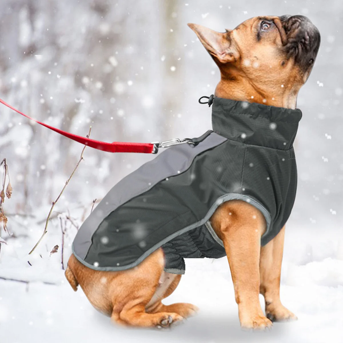 

Premium Waterproof Dog Coat Puppy Warm Clothes Reflective Safety Design Adjustable Harness Comfortable Fit Small