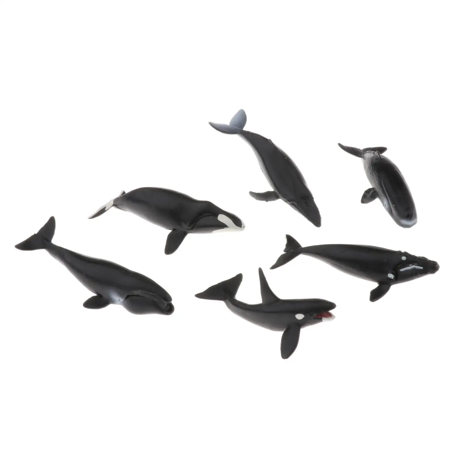 Plastic Whale Figurines Ocean Animals Toys for Toddlers Kids Room Decor Science Educational Sea Life Figure Playset Birthday