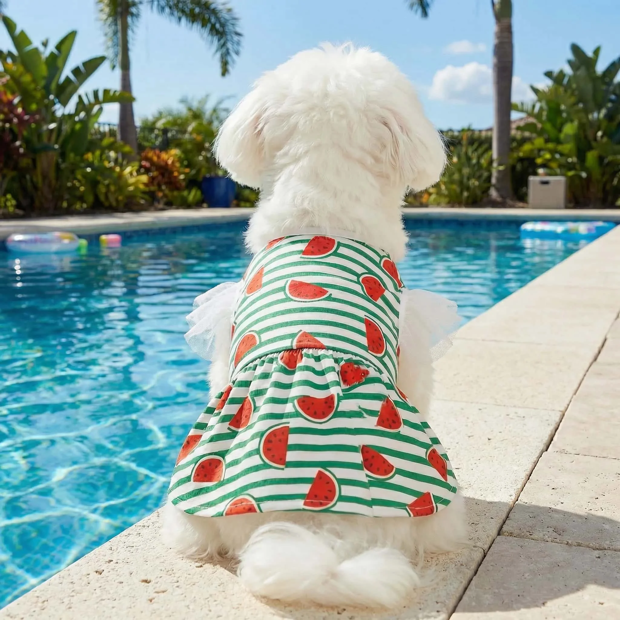 Vestido verano para perros manga corta estampado sandía verde y blanco - imagen 3