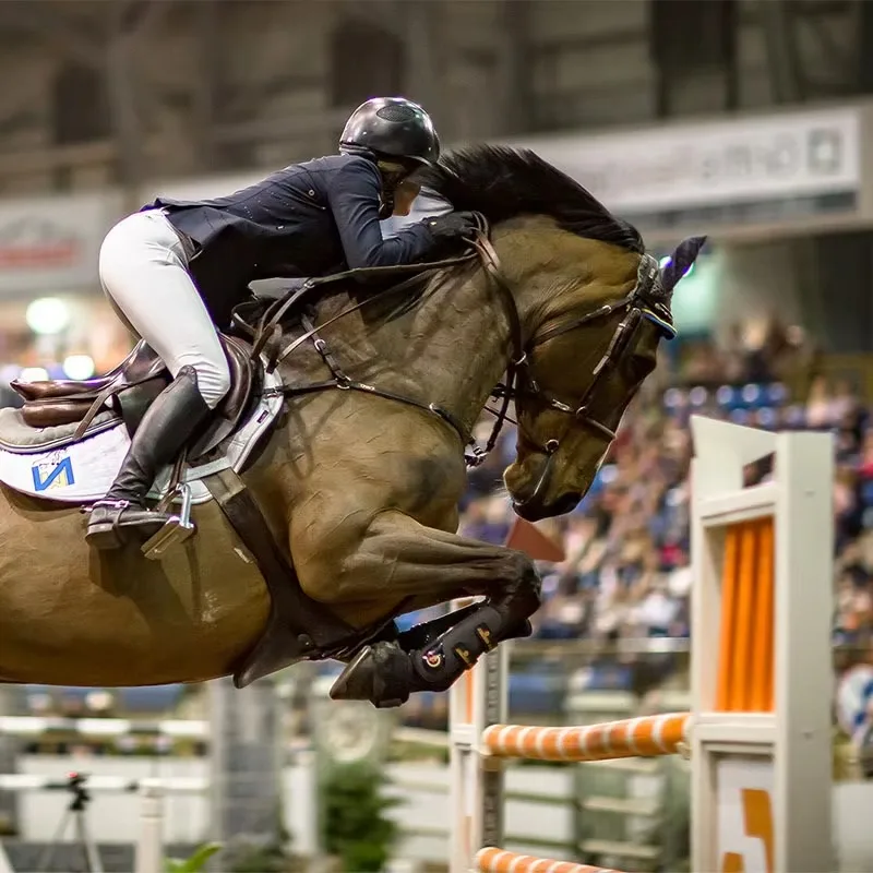 

Lightweight Construction Easy To Assemble Various Colors China Supplier Custom Sizes Sturdy Base Horse Show Jumps