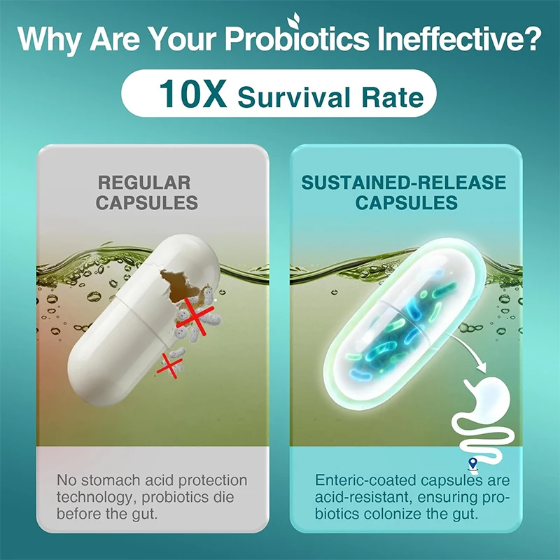 Probiotics for Digestive Health, Containing 120 Billion CFU, Intestinal and Immune Support, 60 Vegetable Capsules