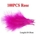 100 piezas de Rosa
