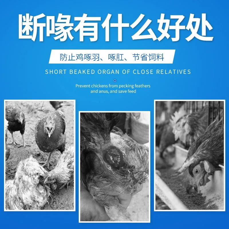 9DQ-4 Poultry Beak Cutting Machine Electric Debeaker Mouth Cutter Removing Device Automatic Chicken Chick Farm Equipment Tool