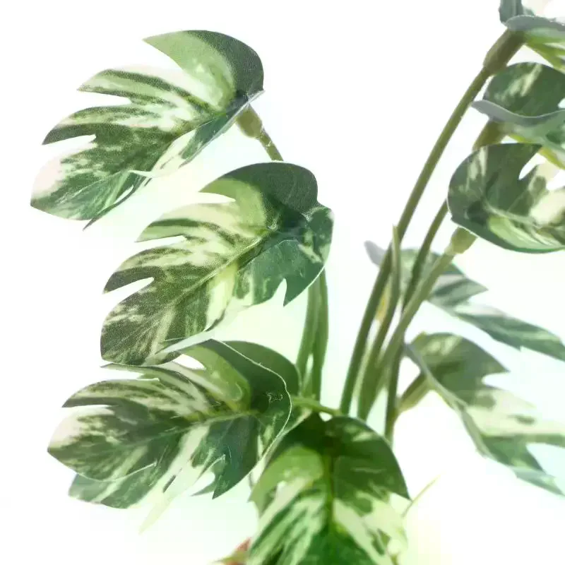 Miniatura de Planta Verde Mons - Bonsai Garden Europe avaliação e preço